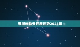 苏珊米勒天秤座运势2023年，2023 天秤座全年运势女
