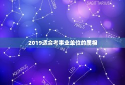 2019适合考事业单位的属相，2019年台州市属事业单位报考的学历要求
