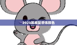 2023属相鼠忌讳颜色(如何避免犯忌)