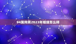 94属狗男2023年姻缘怎么样(婚姻运势大介绍)