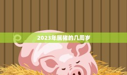 2023年属猪的几周岁(猪年宝宝们的成长秘密)