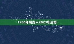 1950年属虎人2023年运势(虎年大吉财运亨通)