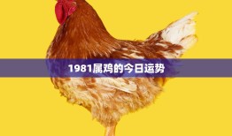 1981属鸡的今日运势(好运连连财运亨通)