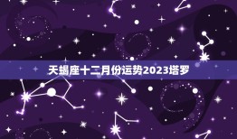 天蝎座十二月份运势2023塔罗，2023年最旺的星座