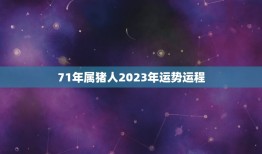 71年属猪人2023年运势运程(顺风顺水财运亨通)