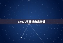 exo八字分析未来老婆，关于EXO成员的八字句子，