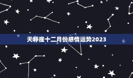 天秤座十二月份感情运势2023，12星座2023 年运势详解