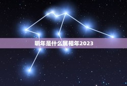 明年是什么属相年2023，明年是什么年 ？十二生肖有什么说法/