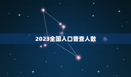 2023全国人口普查人数，中国2023年多少人口