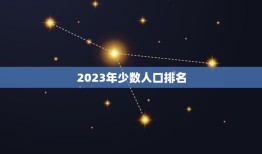 2023年少数人口排名，中国人数排名
