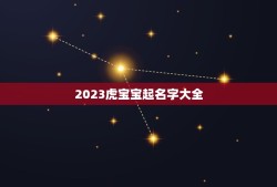 2023虎宝宝起名字大全 虎宝宝起名字大全集