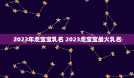 2023年虎宝宝乳名 2023虎宝宝最火乳名