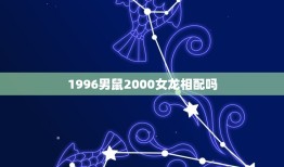 1996男鼠2000女龙相配吗(解密男鼠女龙的爱情奥秘)