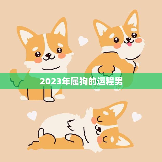 2023年属狗的运程男(未来三年运势如何)