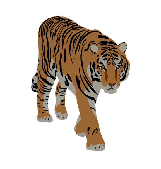 属虎女的跟什么配最合适(如何选择最佳配偶)