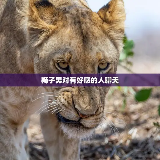 狮子男对有好感的人聊天(如何吸引他的注意并保持话题)