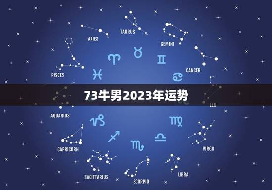 73牛男2023年运势，麦玲玲属牛人2023年运势运程？