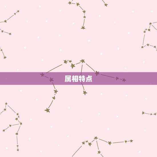 属相特点