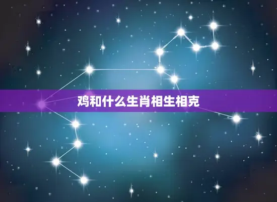 鸡和什么生肖相生相克