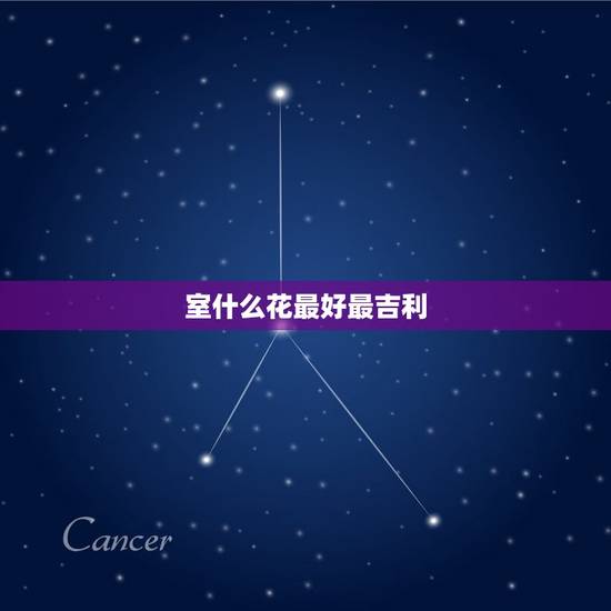 室什么花最好最吉利，室内最好养的花排名