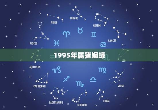 1995年属猪姻缘,1995年女属猪人与1996年男农历运气和婚姻怎样 1995年属猪姻缘,1995年女属猪人与1996年男农历运气和婚姻怎样