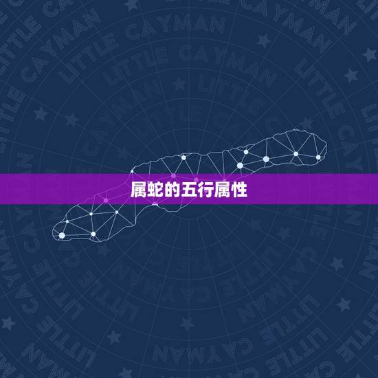 属蛇的五行属性