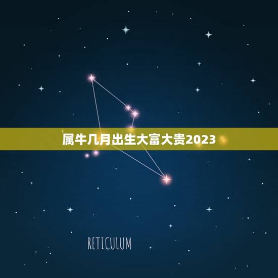 属牛几月出生大富大贵2023，2023年属牛出生的最佳时辰？