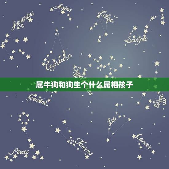 属牛狗和狗生个什么属相孩子，我属牛老公属狗宜生什么属相宝宝