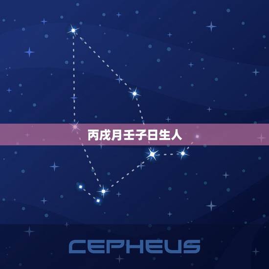 丙戌月壬子日生人 丙戌月壬子日生人