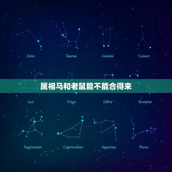 属相马和老鼠能不能合得来，生肖鼠和生肖马能在一起吗