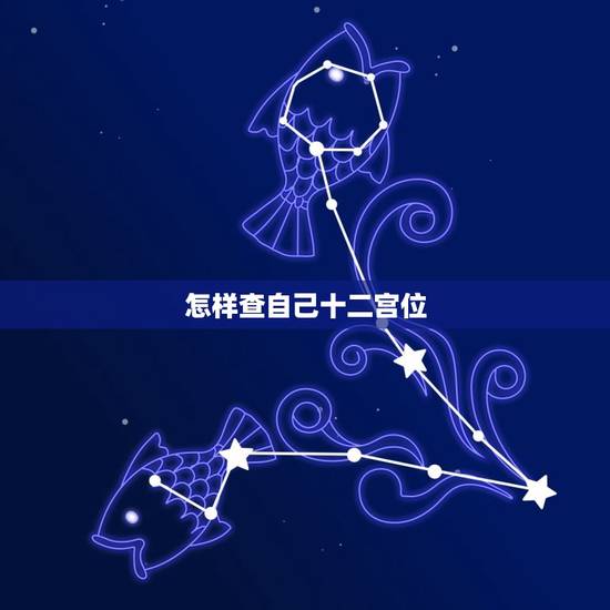 怎样查自己十二宫位 怎么看自己的星座宫位落在哪 怎样查自己十二宫位 怎么看自己的星座宫位落在哪