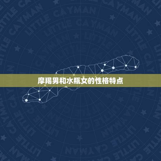 摩羯男和水瓶女的性格特点