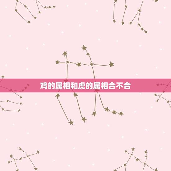 鸡的属相和虎的属相合不合，属鸡的男的和属虎的女的合不合？