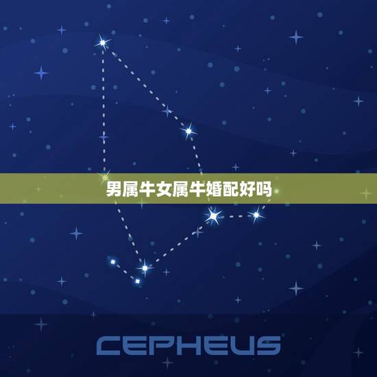 男属牛女属牛婚配好吗，女生属牛和男生属牛相配吗