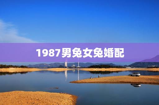 1987男兔女兔婚配，1987年属兔男跟1987年属兔女婚姻相配吗？