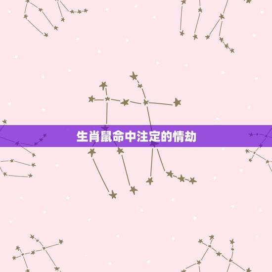 生肖鼠命中注定的情劫，生肖鼠命中注定的正缘