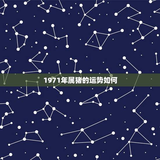 1971年属猪的运势如何 1971年属猪的财运 1971年属猪的运势如何 1971年属猪的财运