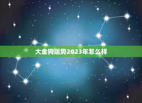 大金狗运势2023年怎么样