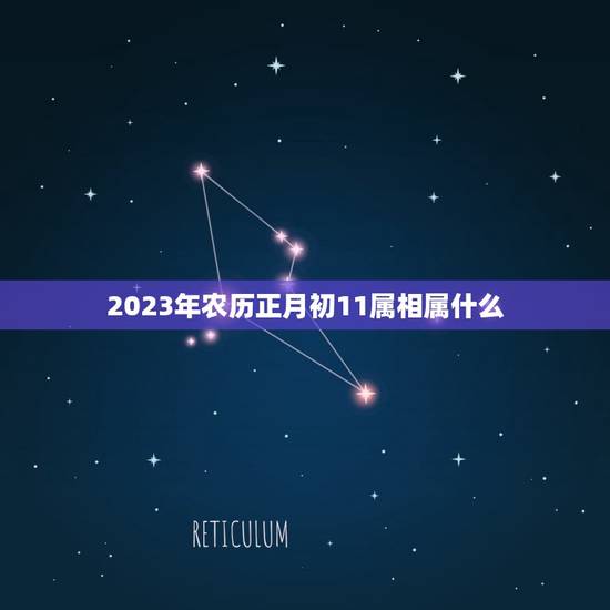 2023年农历正月初11属相属什么，2023年初一属什么生肖