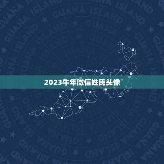 2023牛年微信姓氏头像，微信用姓氏当头像的怎么设置啊