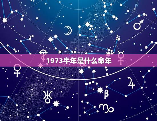 1973牛年是什么命年，1973年属牛是什么命运