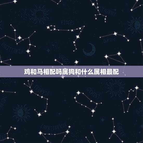 鸡和马相配吗属狗和什么属相最配,属狗和鸡日出生的马能相配吗? 鸡和马相配吗属狗和什么属相最配,属狗和鸡日出生的马能相配吗?