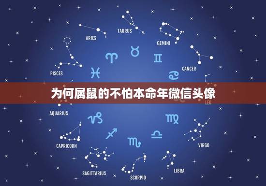 为何属鼠的不怕本命年微信头像,属鼠人什么微信头像吉祥? 为何属鼠的不怕本命年微信头像,属鼠人什么微信头像吉祥?