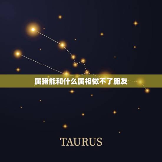 属猪能和什么属相做不了朋友，属猪和什么属相相冲