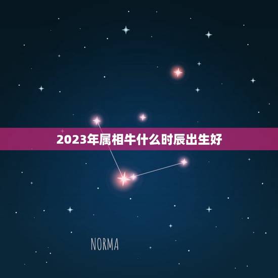 2023年属相牛什么时辰出生好，2023什么时候开始是牛年