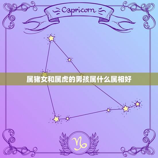 属猪女和属虎的男孩属什么属相好，男属猪女属虎生什么属相宝宝好