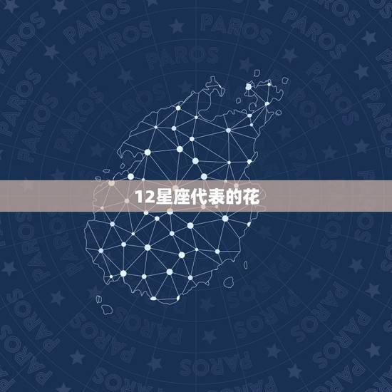 12星座代表的花，小花吉祥的花语是什么