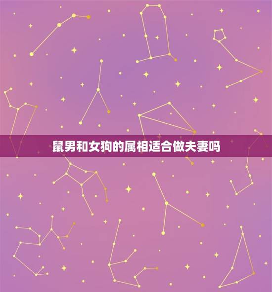鼠男和女狗的属相适合做夫妻吗，属狗女和属鼠男配吗 详细�0�3