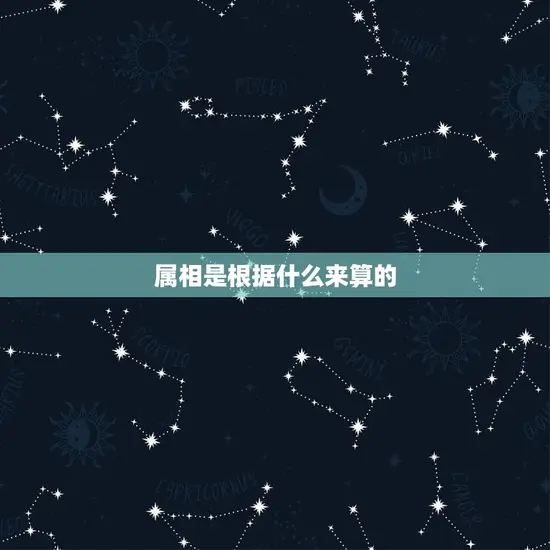 属相是根据什么来算的