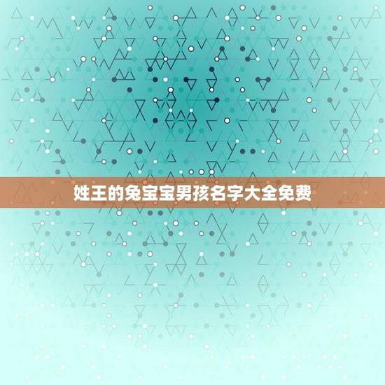 姓王的兔宝宝男孩名字大全免费(给你最精选的兔宝宝男孩名字)